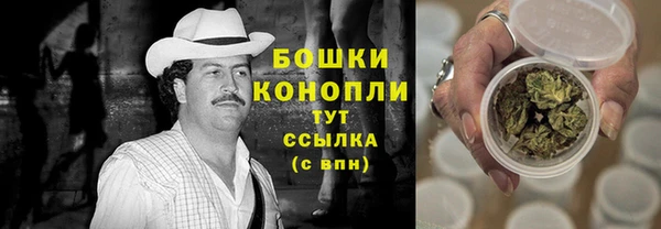 ГАЛЛЮЦИНОГЕННЫЕ ГРИБЫ Краснослободск