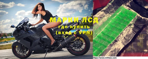 ГАЛЛЮЦИНОГЕННЫЕ ГРИБЫ Краснослободск
