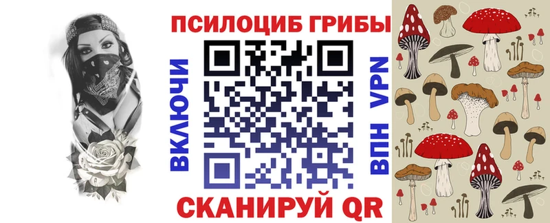 Купить  Заинск  Псилоцибиновые грибы мухоморы 
